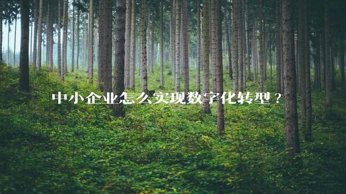 中小企业怎么实现数字化转型?