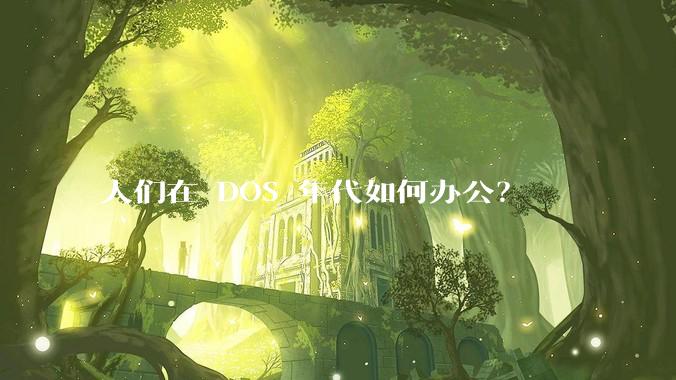 人们在 DOS 年代如何办公？